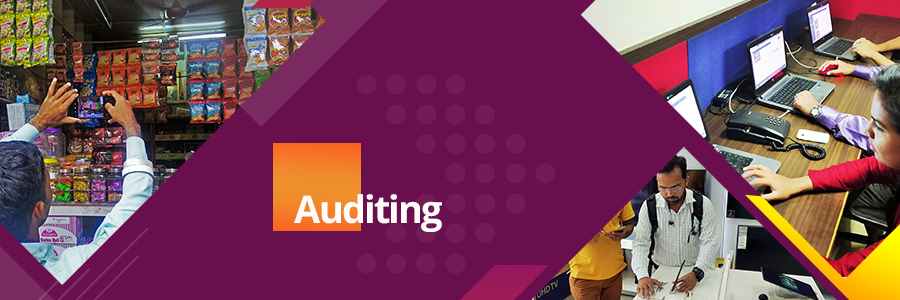 Auditing-banner1 In-Store Retail Audit Services : PPMS